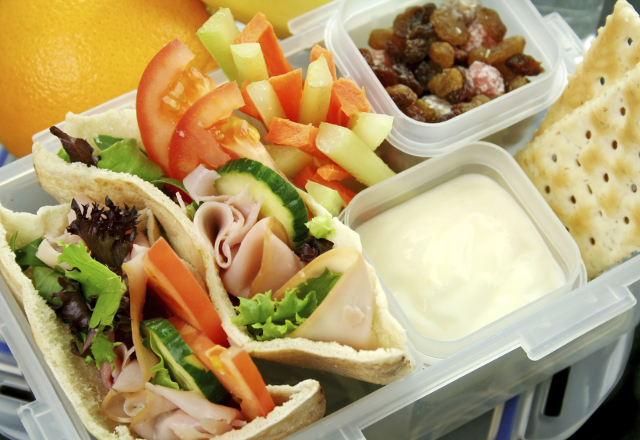 A healthy school lunch featuring a pita sandwich, veggies and raisins.