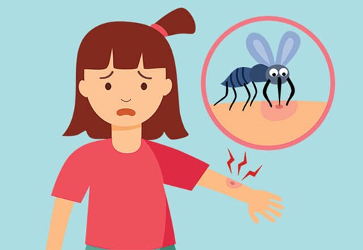 Child getting a mosquito bite