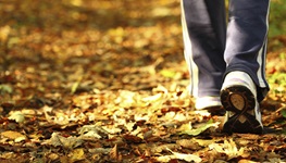 person walking on fallen leaves