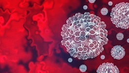 Gray virus particles circulating in the bloodstream
