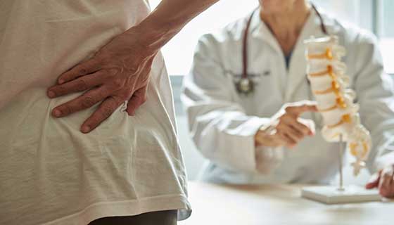 Doctor points to a model of the spine