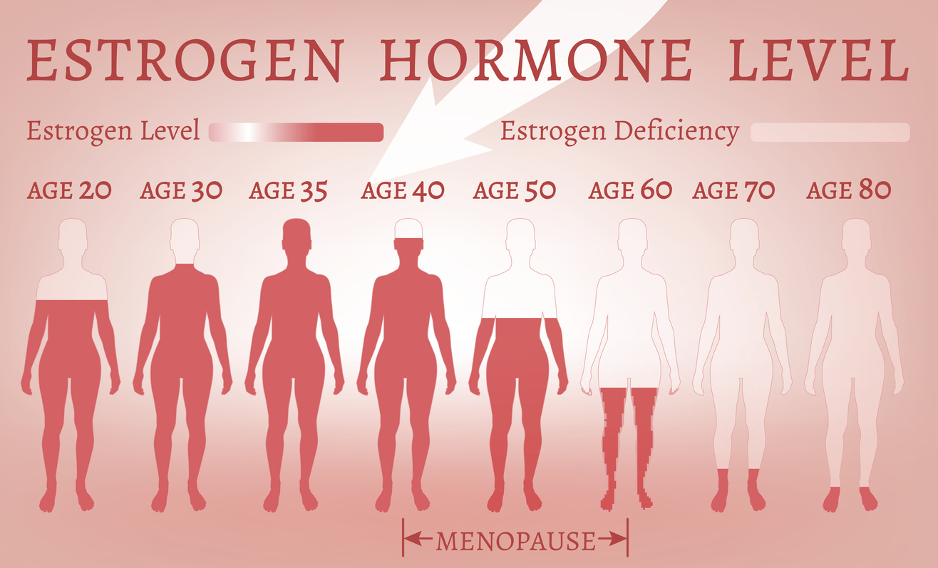 Signs of low estrogen Common signs related to low estrogen levels