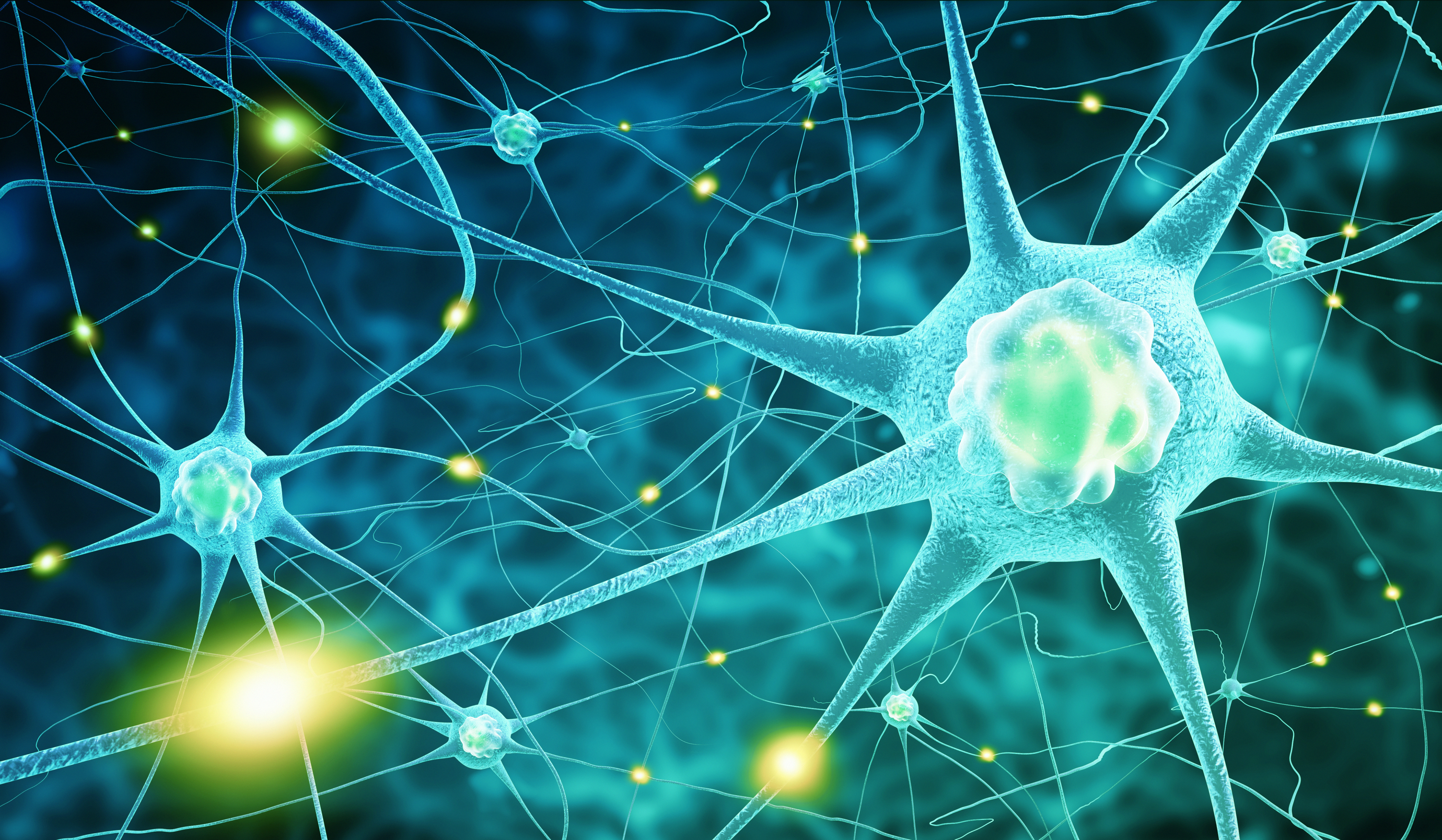 Что такое нейро. Нейрон клетка головного мозга. Нервная система Нейрон. Нервные клетки сеть нейронов. Нейронные клетки головного мозга.
