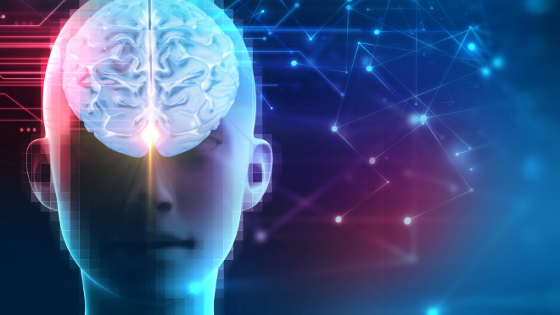 Psychedelic Drug MDMA May Reawaken 'Critical Period' in Brain to Help Treat  PTSD