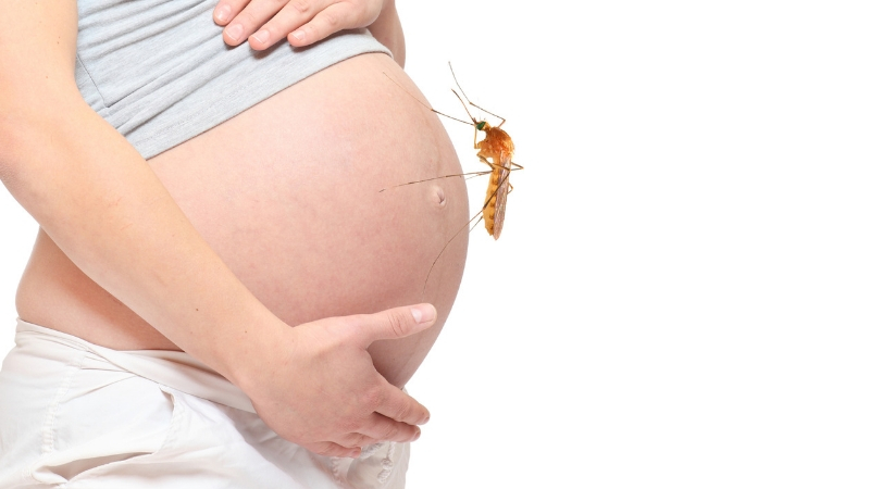 800 Zika_pregnancy_mom_GettyImages-508323682