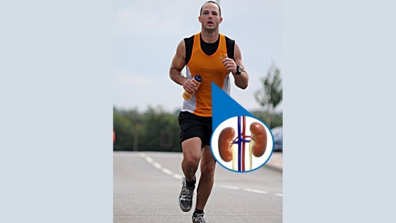 800 Marathon Runner with Kidneys