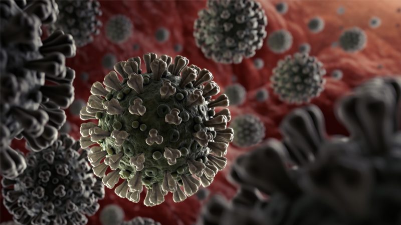 coronavirus novel
