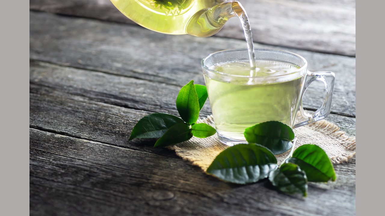 Science Update: Green tea compound may inhibit processes promoting uterine  fibroid growth, NIH-funded study suggests