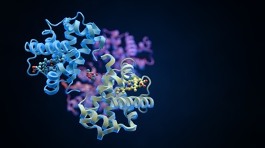 Johns Hopkins Medicine Leads Up to $52 Million Federal Effort to Study Protein Shapes and Folding