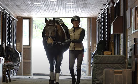 Kathy walking a horse