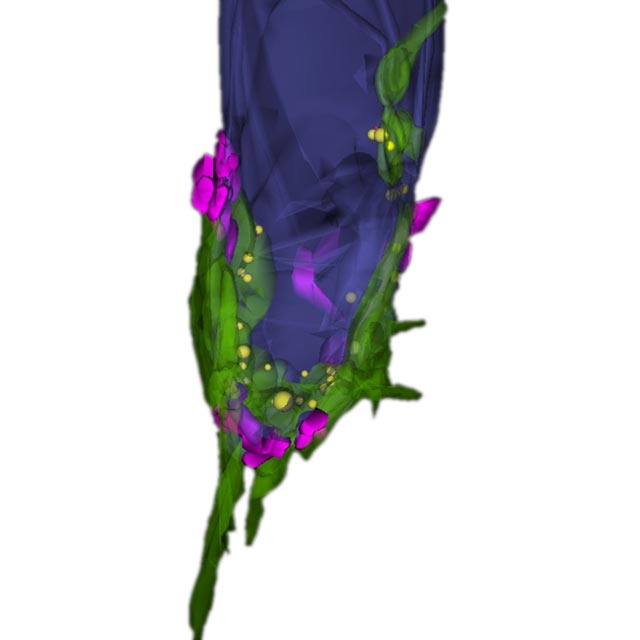 Better_Connections_002_640px