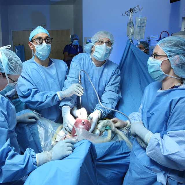 A photo shows surgeons performing in utero spina bifida repair.