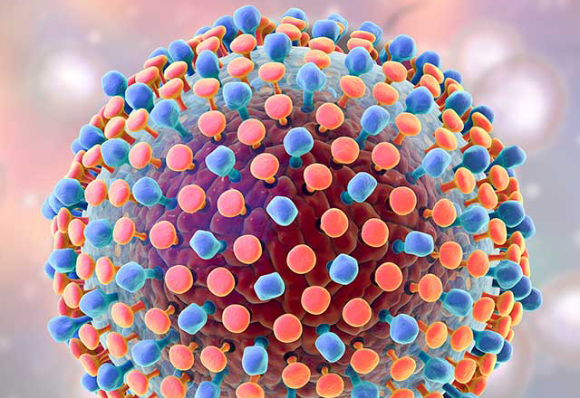 An image shows a hepatitis C virus. 