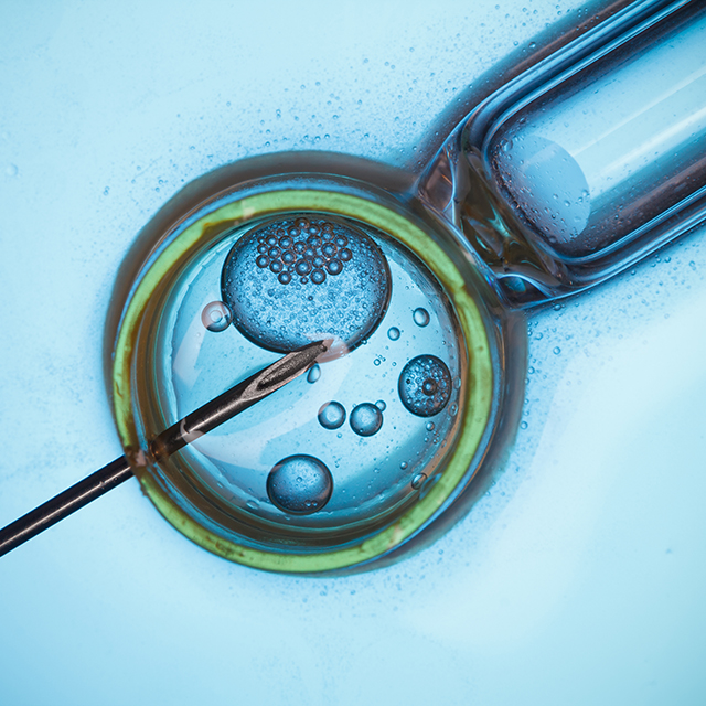 Needle going into cell