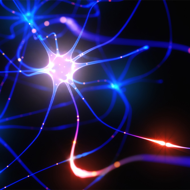 An illustration shows neurons. 
