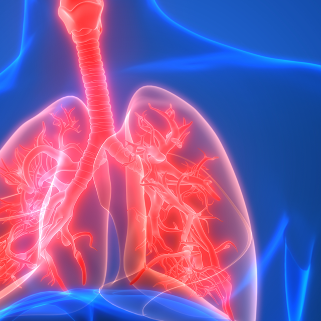 An illustration shows the trachea and lungs. 