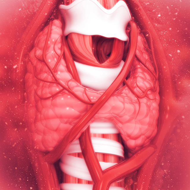 Illustration of a throat. 