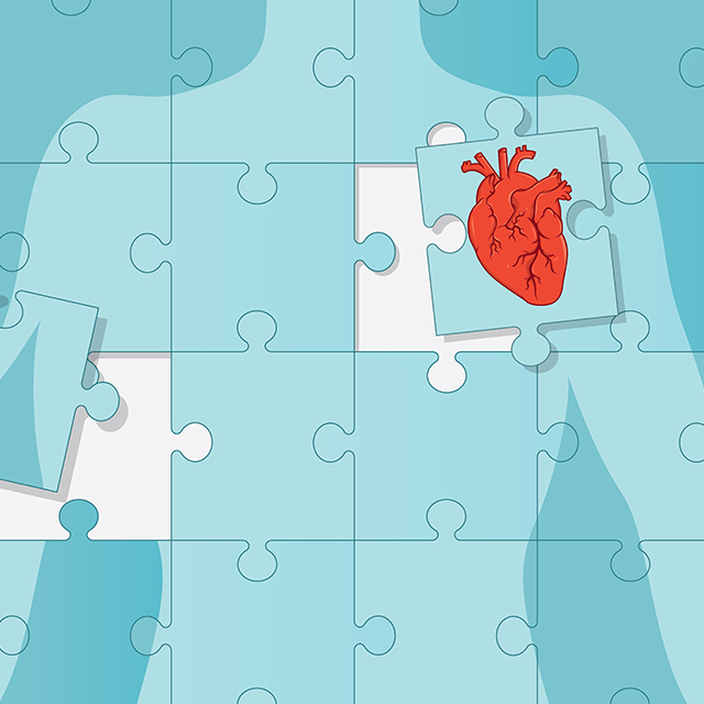 Illustration of a puzzle that includes a human torso and a heart. 
