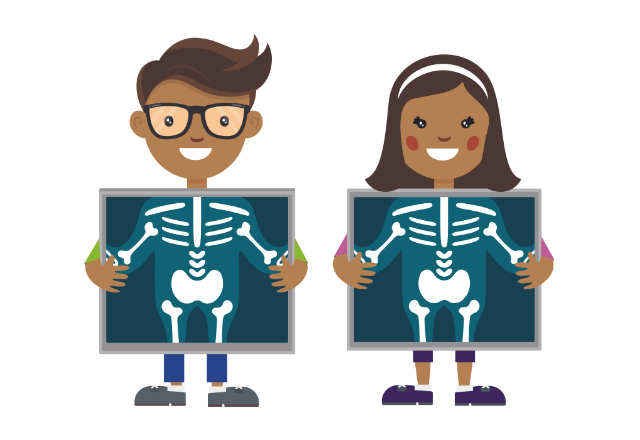 Xray illustration
