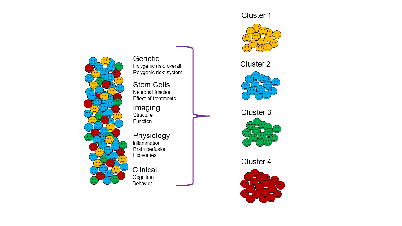 Diagram of clusters