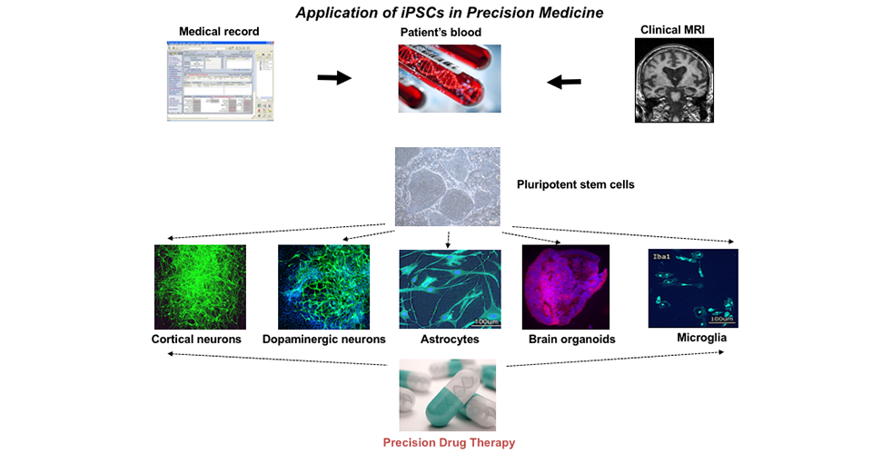 Diagram of application of iPCS