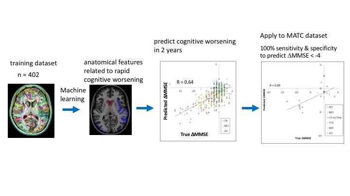 Cloud-based brain MRI segmentation and parcellation system using a machine learning algorithm predicts the change in cognitive scores in two years.
