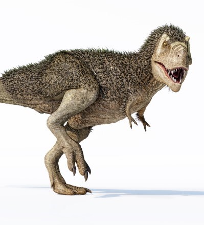 Artist's rendering of a dinosaur