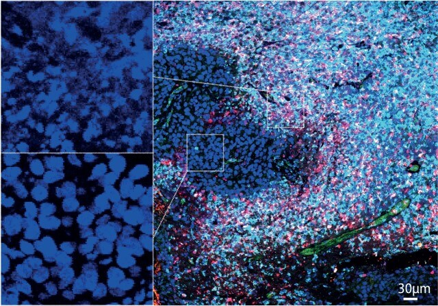 Blue, cyan cells on a black background