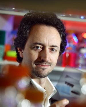 Joel Pomerantz