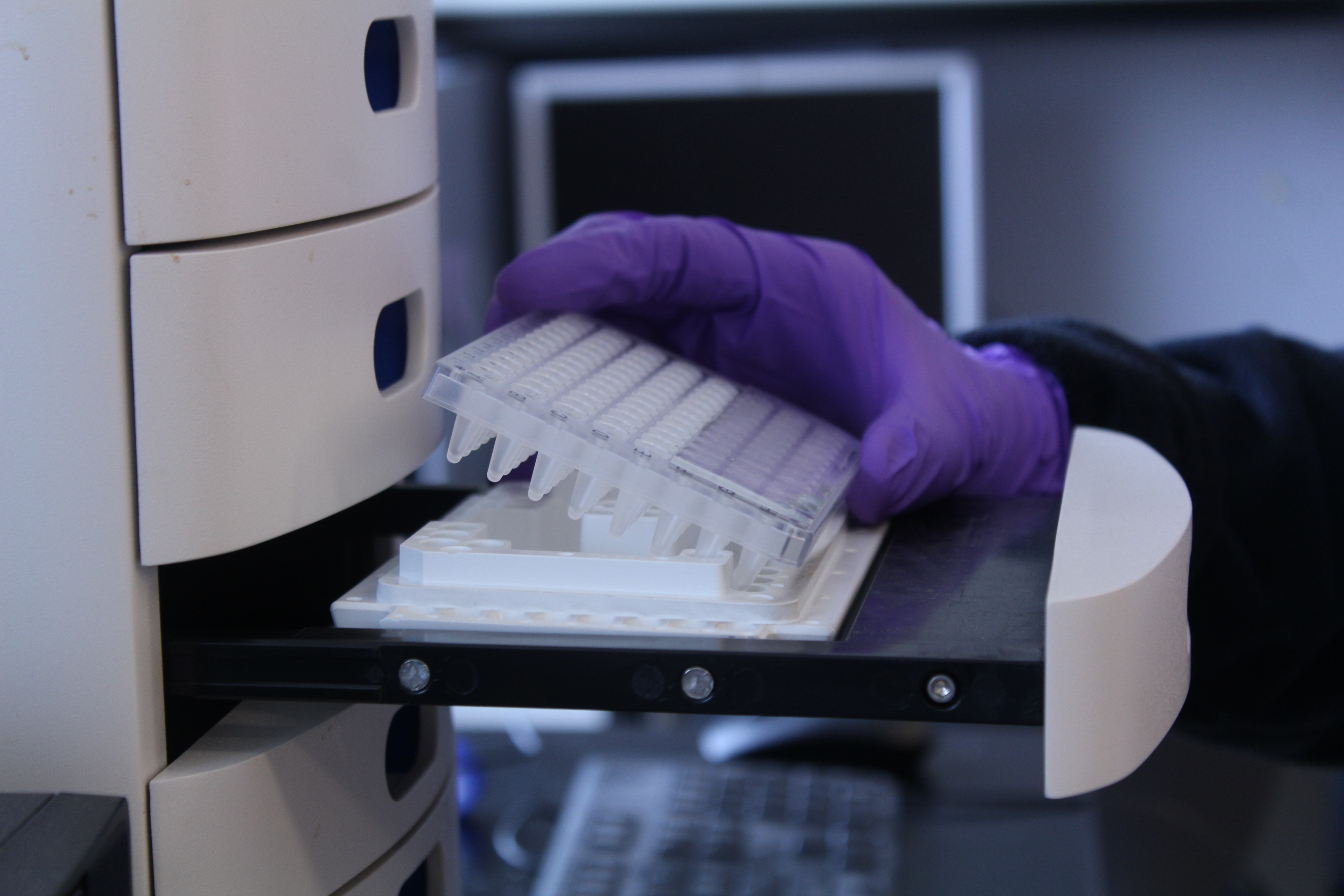 The Fragment Analyzer allows for high throughput nucleic acid fragment analysis.  The Core provides quality control services, pre- and post- sample prep.  