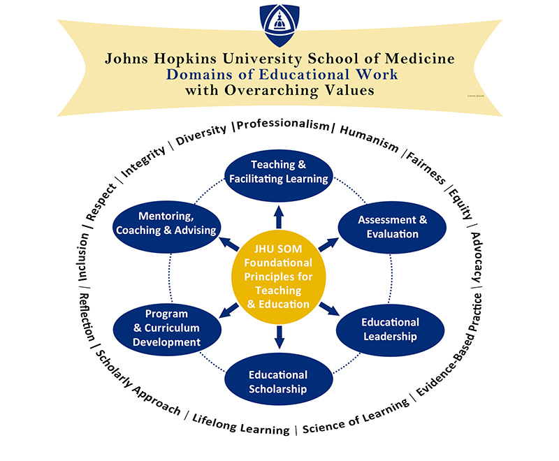 A chart illustrating the School of Medicine's domains of educational work.