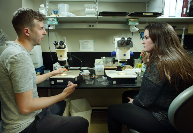 Scientists looking into microscopes