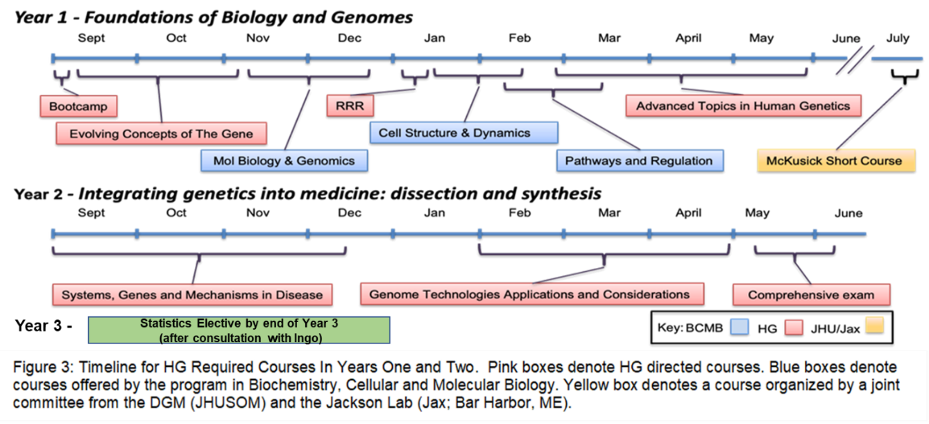 Figure 3: Timeline for HG Required Courses in Years One and Two. Pink boxes denote HG directed courses. Blue boxes denote courses offered by the program in Biochemistry, Cellular and Molecular Biology. Yellow box denotes a course organized by a joint committee from the DGM (JHUSOM) and the Jackson Lab (Jax; Bar Harbor, ME).