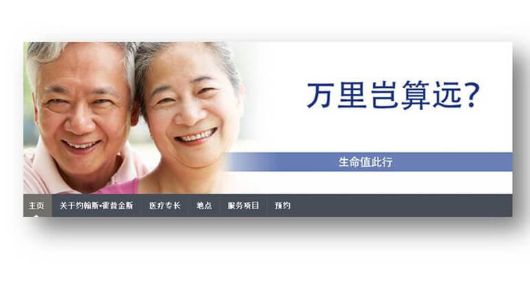 Screenshot of Chinese multilingual site banner.