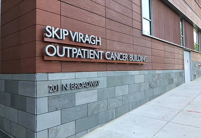 Skip Viragh building