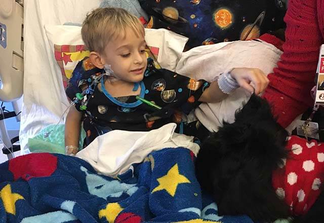 Daniel in the hospital with a therapy dog