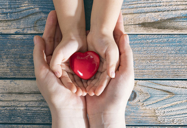 adult and child hold a fake heart in cupped hands