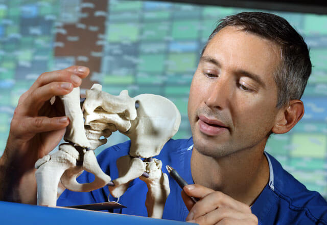 orthopaedic surgeon looking at bone model