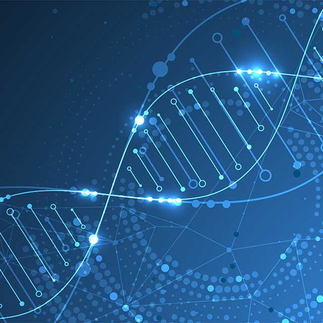Illustrated DNA double helix