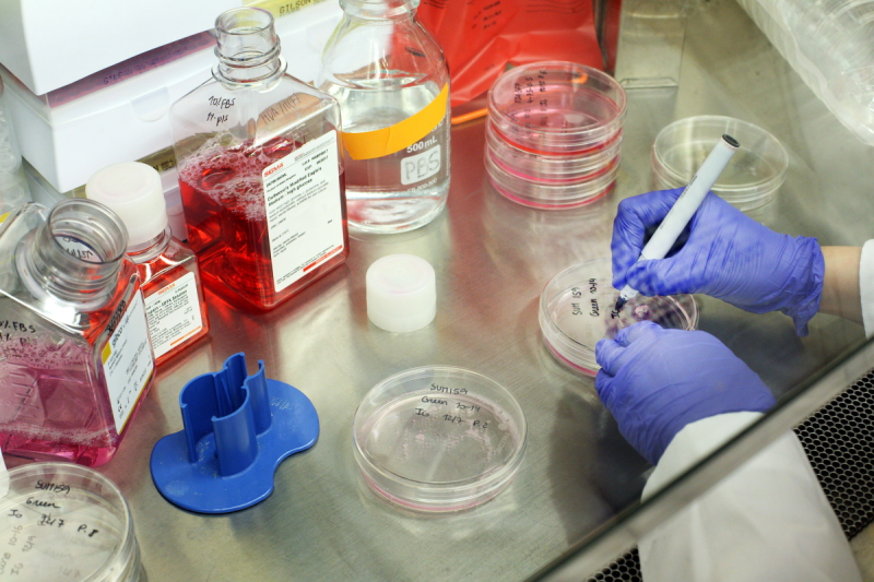 Gloved hands working in a lab
