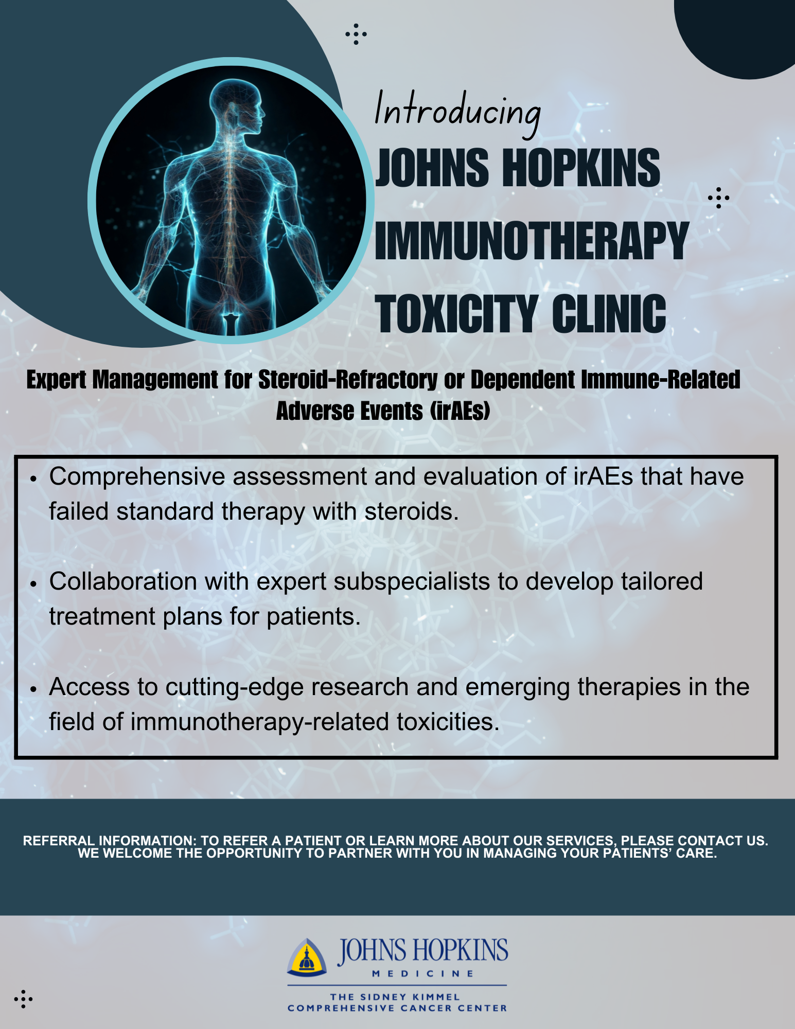 Flyer announcing the Johns Hopkins Immunotherapy Toxicity Clinic. Headline reads ‘Introducing Johns Hopkins Immunotherapy Toxicity Clinic.’ Subheading: ‘Expert Management for Steroid-Refractory or Dependent Immune-Related Adverse Events (irAEs).’ Bullet points highlight: comprehensive assessment of irAEs that fail steroid therapy; collaboration with expert subspecialists to create tailored plans; access to cutting‑edge research and emerging therapies. Footer invites referrals or inquiries and includes the Johns Hopkins Medicine, Sidney Kimmel Comprehensive Cancer Center logo