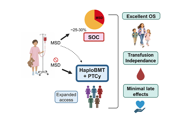 Half-matched bone marrow transplant expands access to curative treatment for children and young adults with severe aplastic anemia. Credit: Margarita Dionysiou using Bio Render