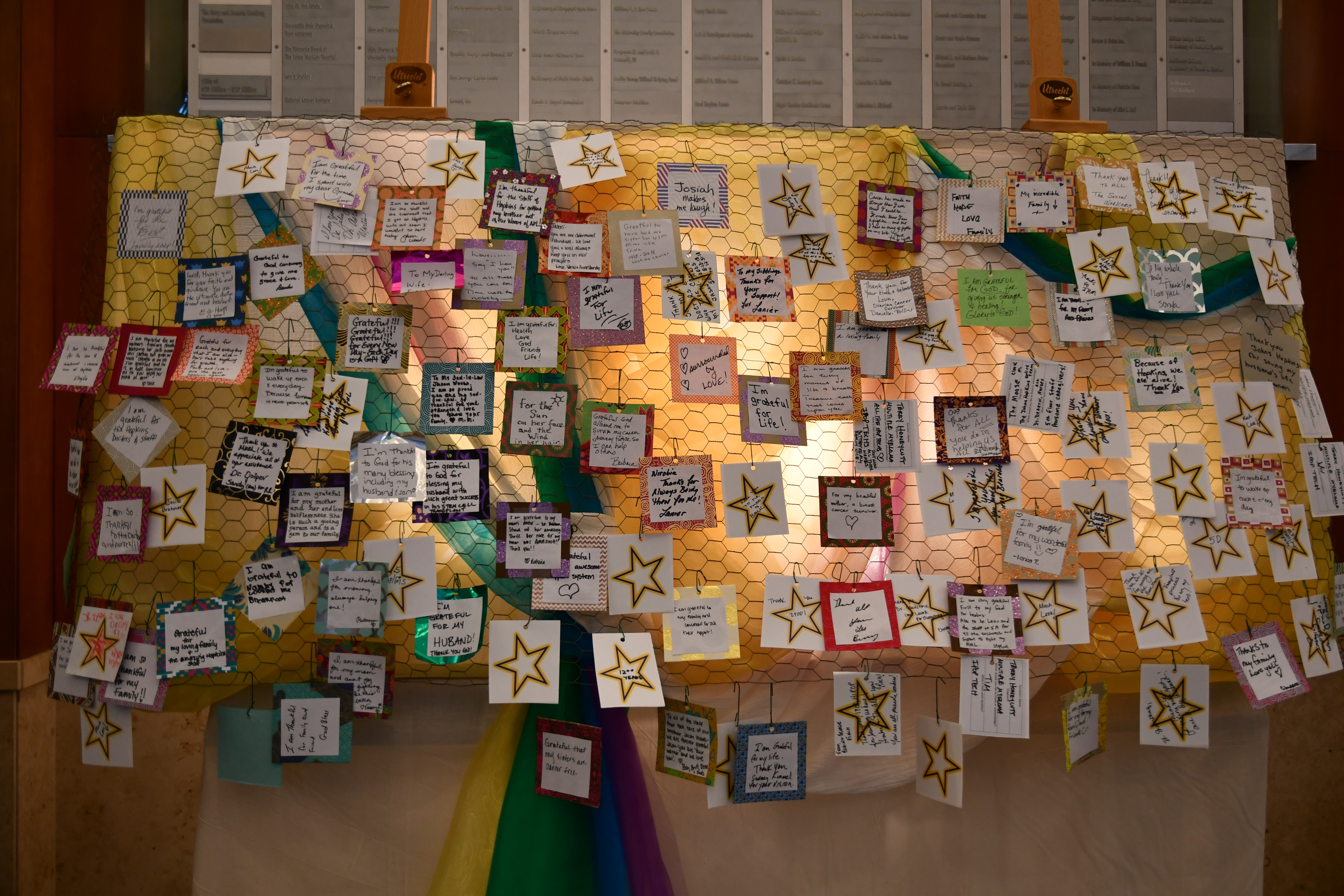 Wall with cards of gratitude