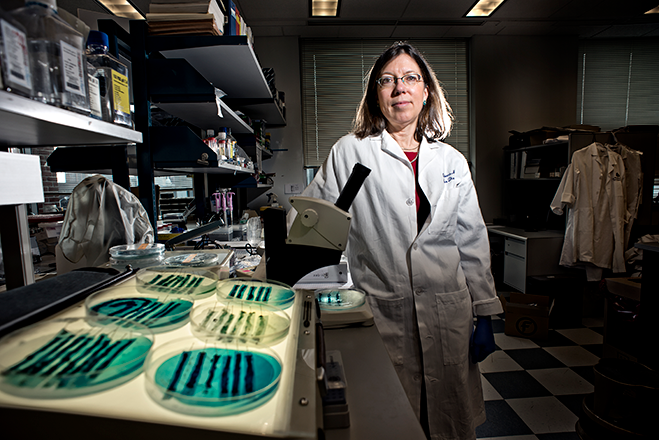 Dr Cynthia Sears in science lab