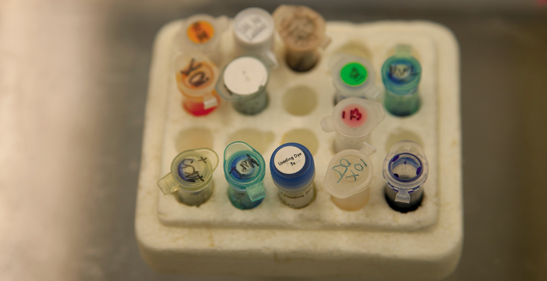 Testubes in circle slots within a white container.