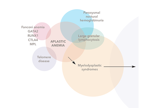 Graphic bubbles in several pastel colors.
