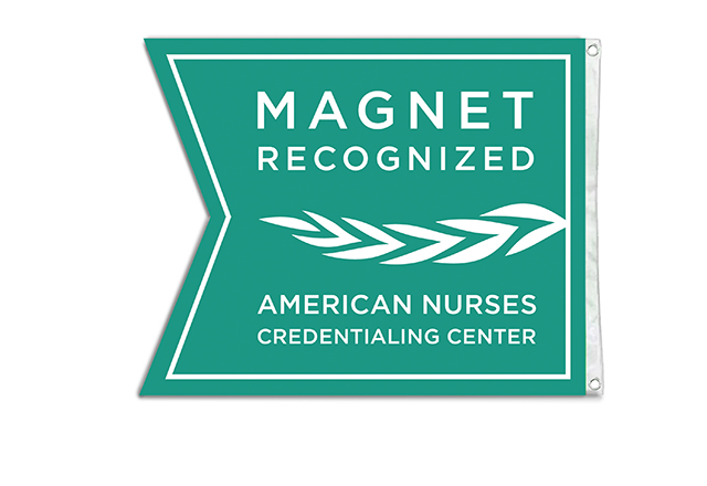 Magnet recognized logo