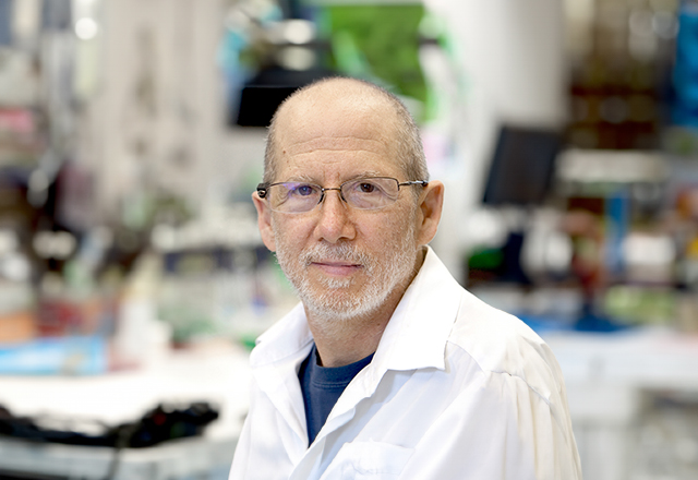 Bert Vogelstein