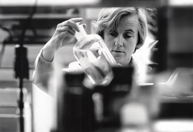 Photo Of Paula Pitha-Rowe
