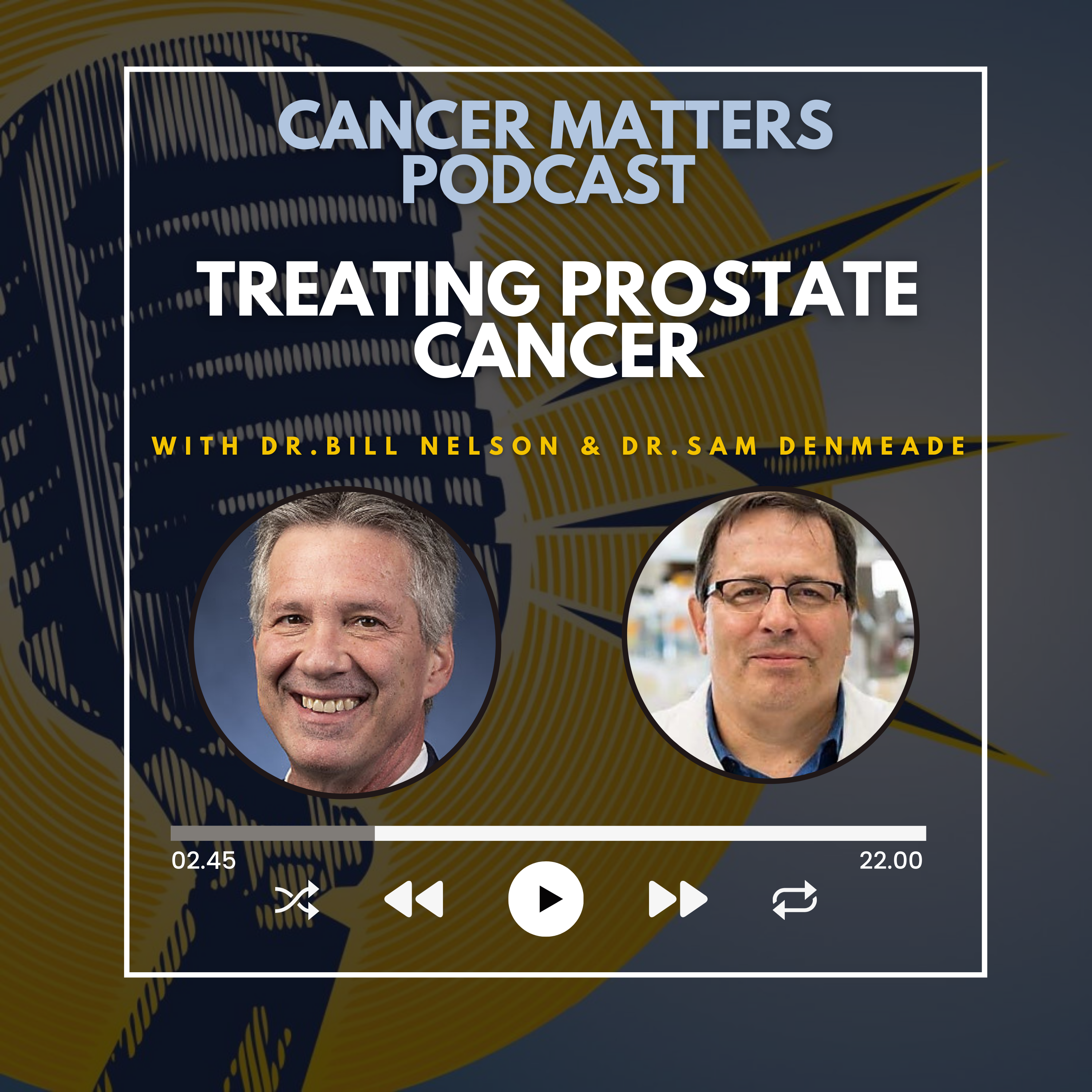 Dr Bill Nelson and Dr Sam Denmeade discuss the growing array of treatments for patients with prostate cancer available at the Johns Hopkins Kimmel Cancer Center.